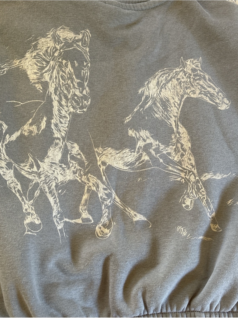 C**ty grey H&M cropped crew neck, horse design on back and “Wild West” on front